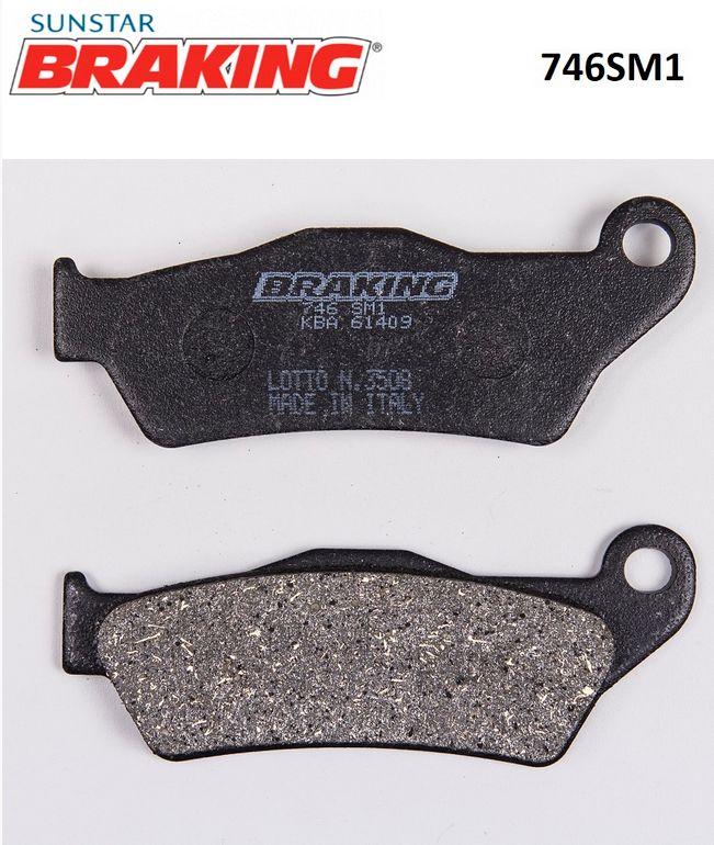  TENERE  660/700   CF MOTO CLX 700  PULSAR NS 200    DOMINAR 400   BMW 1200 R NINE T    HARLEY DAVIDSON STREET 750        BRAKING 746SM1 YARI METALİK (ÖN) FREN BALATASI