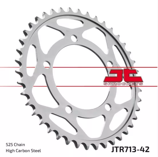 RSV4 1100 FACTORY JT JTR713-42T ARKA DİŞLİ