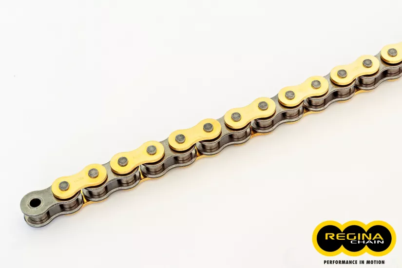 REGINA 525ZRP (GOLD) 114 BAKLA Z-RİNG ZİNCİR