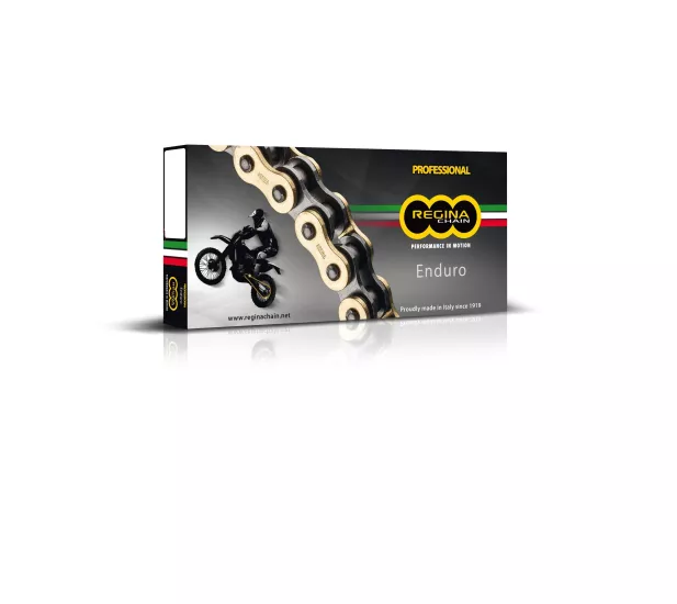 REGİNA 428 ZSE 136 BAKLA Z-RİNG ZİNCİR (GOLD)